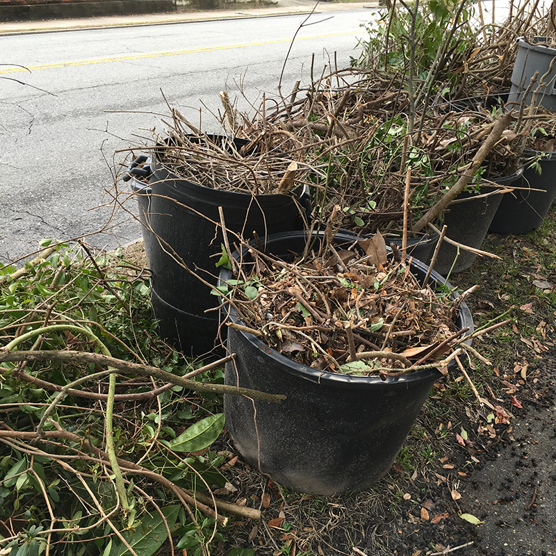 yard debris removal hero